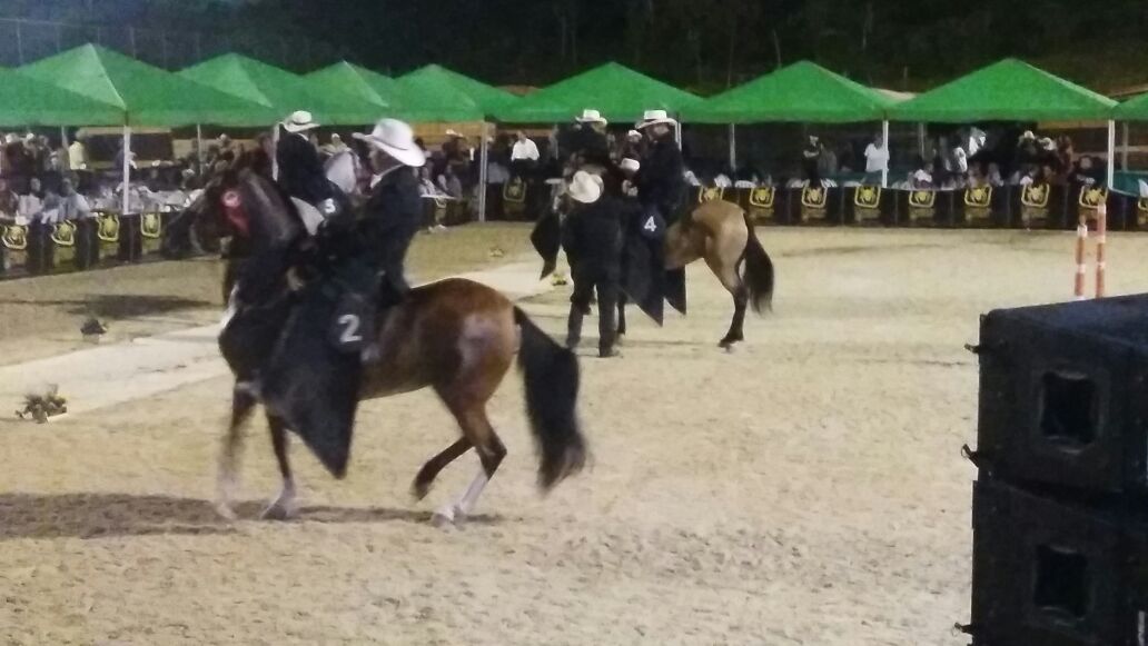 DesdeGranada1's tweet photo. Festival  Equino, Gran Copa Oriente. https://t.co/3HW9sSAsbY