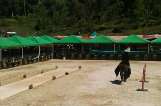 DesdeGranada1's tweet photo. Festival  Equino, Gran Copa Oriente. https://t.co/3HW9sSAsbY