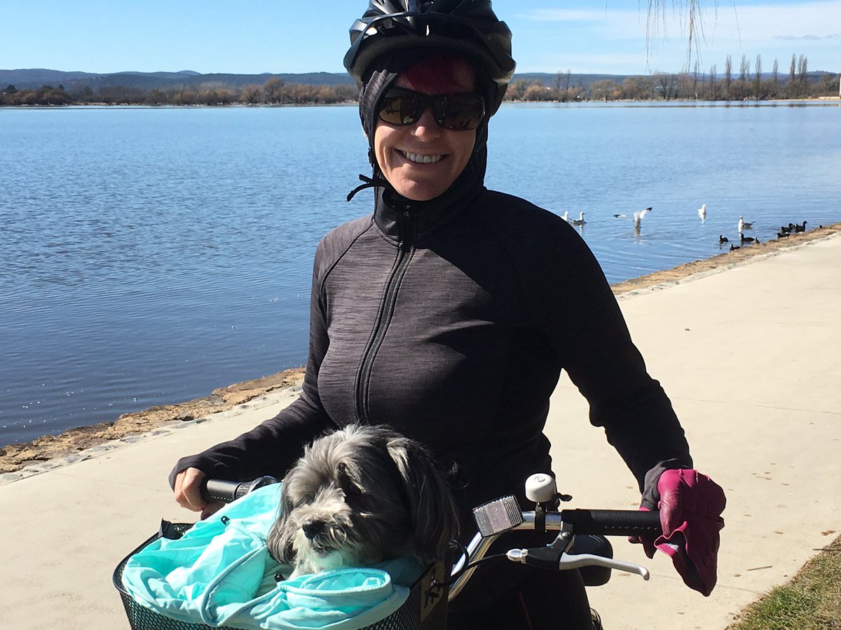 MsPinkHerself's tweet photo. Great sunny winter #CBR day for a 20km bike ride around the lake #dogslife #definitivediva #gratitude https://t.co/zWgRPiEFds