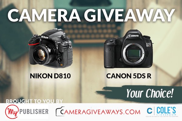 ShoppingParrot's tweet image. Nikon D810 and Canon 5DS R contest #contests #freecamera #cameracontest #canon #nikon shoppingparrot.com/nikon-d810-can…