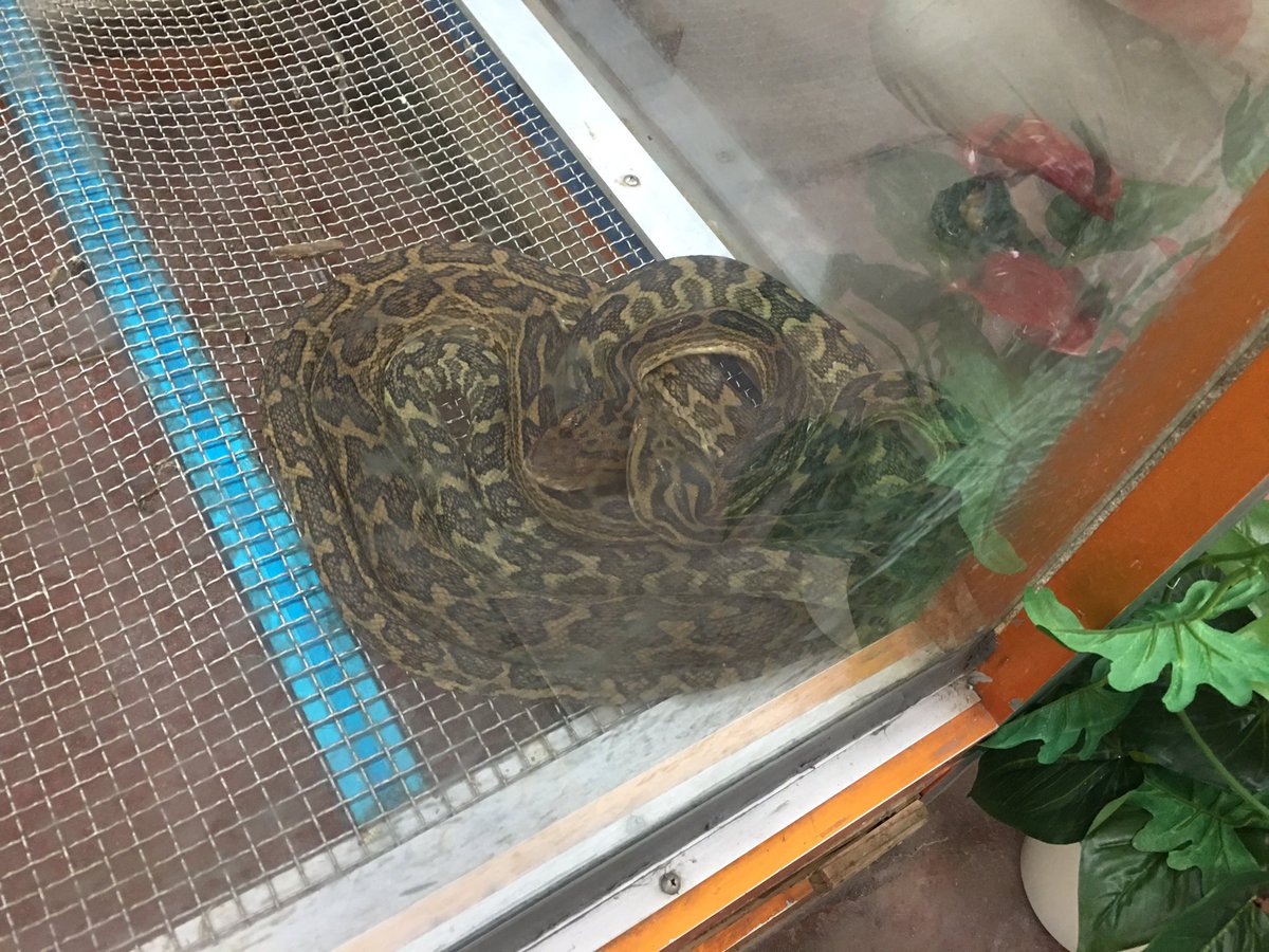 奄美観光ハブセンター 奄美観光ハブセンター