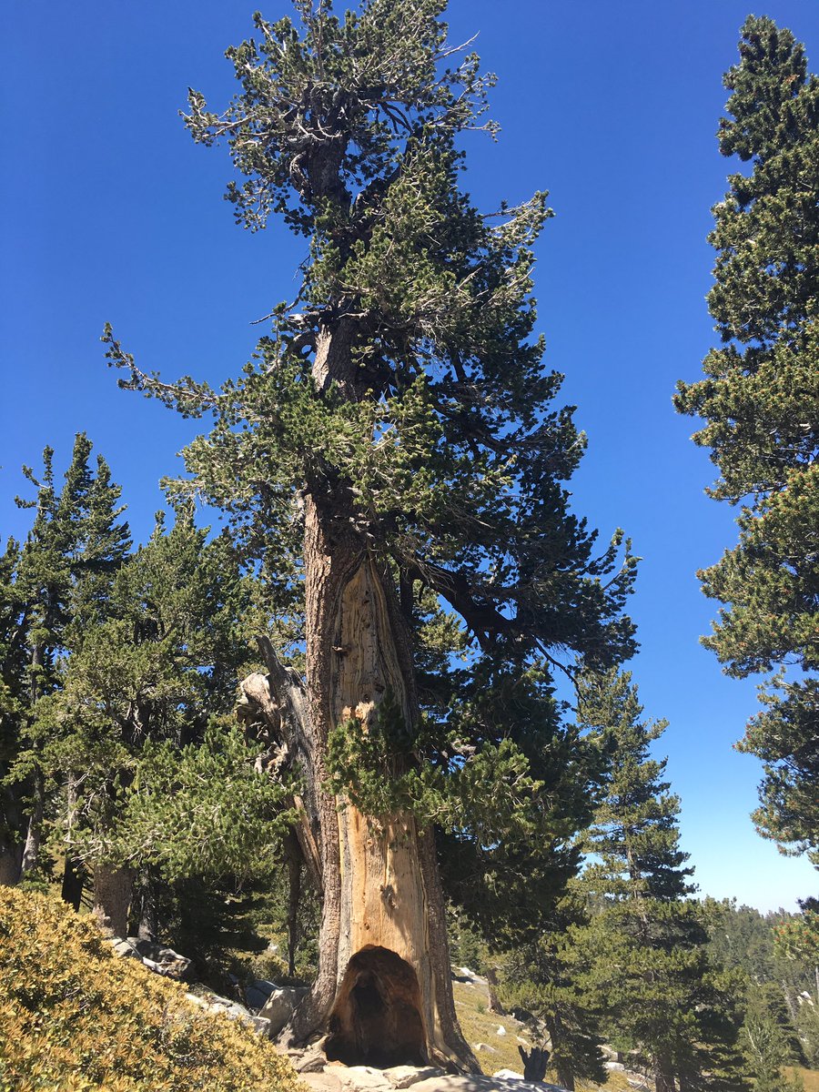 San Jacinto State Park