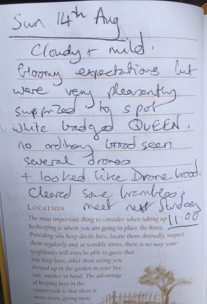 bee7forestgate's tweet image. Good news today!