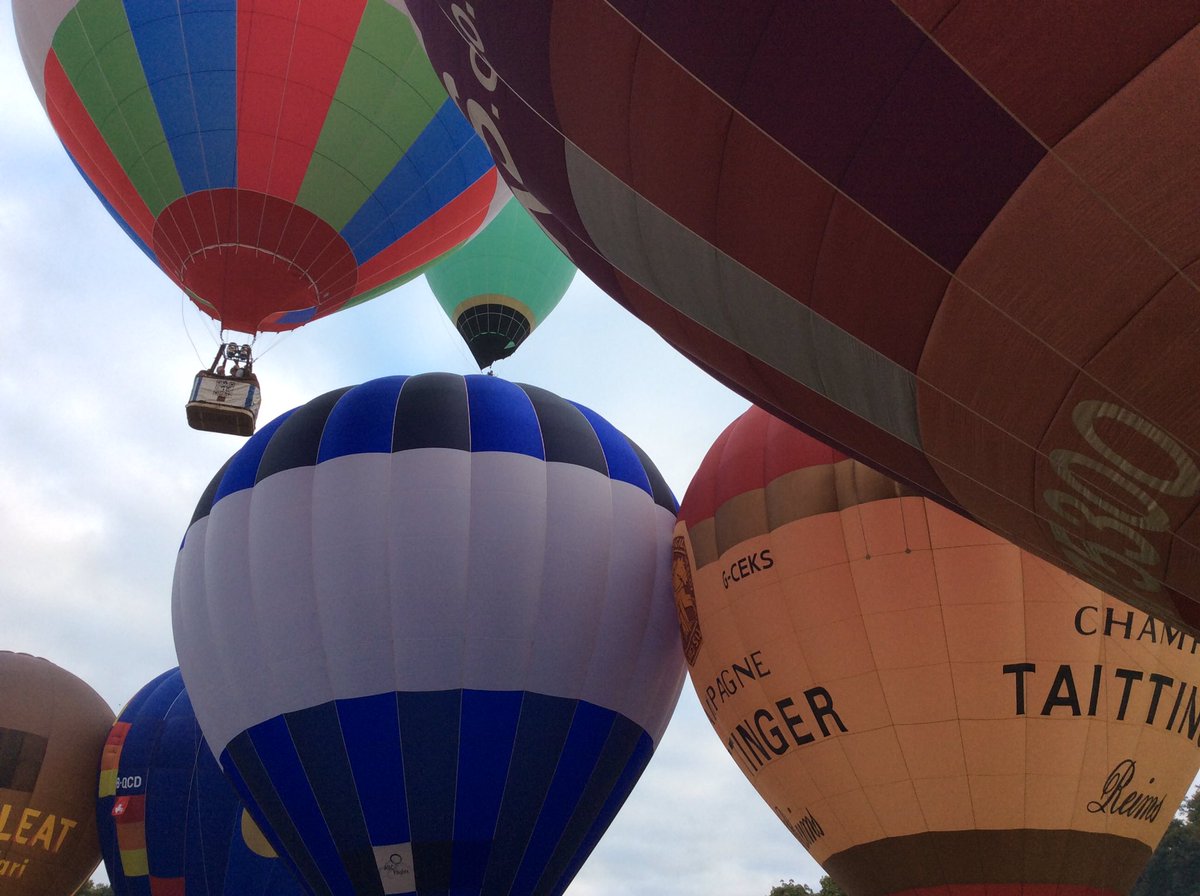 Fiona Lamdin tweet media