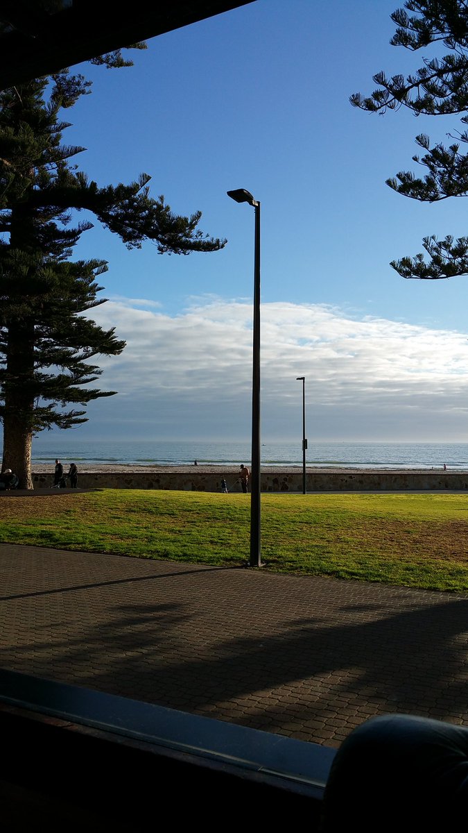 Paul Ninnis tweet media