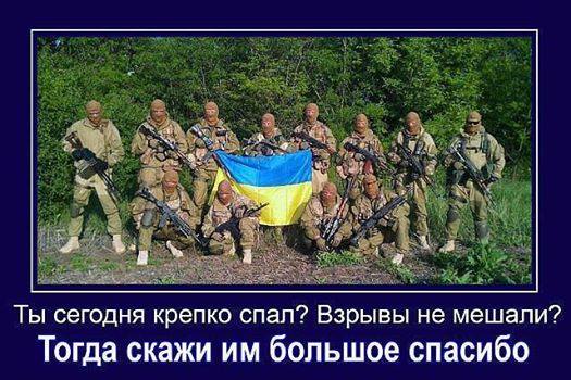 Немецкие политики высказываются за поставку Украине оружия, - Frankfurter Allgemeine Zeitung - Цензор.НЕТ 784