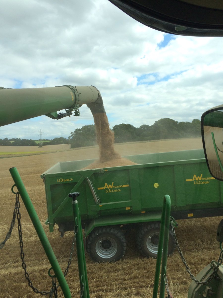 mike_farrell83's tweet photo. In Reflection wheat doing just over 10t/ha 74-75kg/hl. @DickyWood1 @SyngentaCropsUK #harvest16 https://t.co/Q5TqHn4m1k