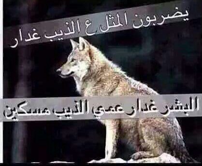 من تلكة صاحب زين عود احتفظ بي

صدكني بيك يخون حتة التربي