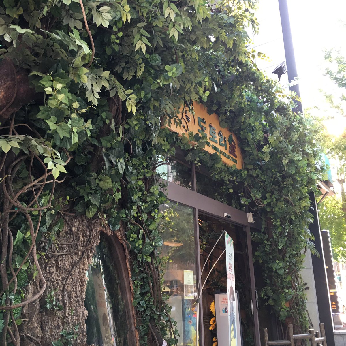 I V Kr Twitterissa 弘大にジブリショップができてたー トトロのお腹が動いててめちゃ可愛い 韓国人もジブリ大好きだよね めっちゃ人多い トトロの森 弘大 ホンデ ジブリショップ 韓国なう I V Kr Twitterissa 弘大にジブリショップができてたー トトロのお腹が動いててめちゃ可愛い 韓国人もジブリ大好きだよね めっちゃ人多い トトロの森 弘大 ホンデ ジブリショップ 韓国なう