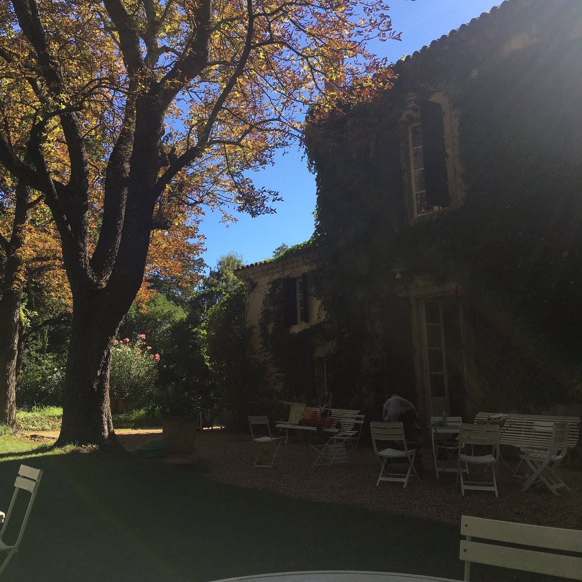 Petit déjeuner à <a href="/AiguesBelles/">Domaine AiguesBelles</a> ☕️ ! Merveilleusement bien #maison #vin #picsaintloup #sunshine #domaine #occitanie