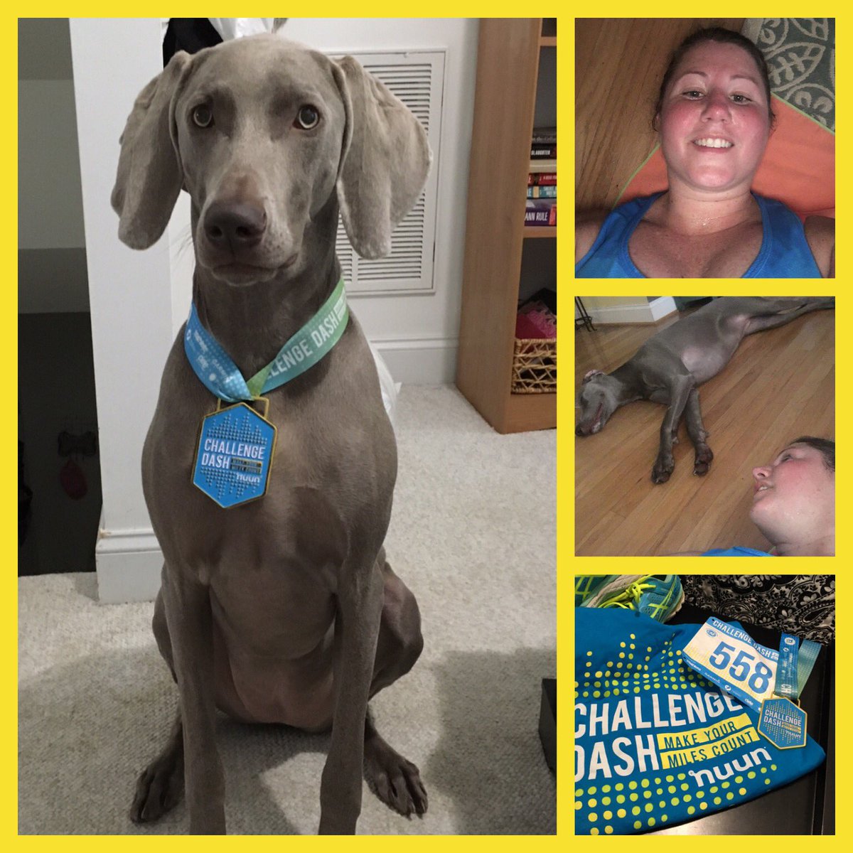 FunCardioMvmt's tweet photo. @ChallengeDash #challengedash a great finish with the #bestpartner #5k #weim #weimaraner https://t.co/bKTVTCZ264