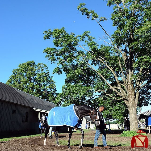 Centennial_Farm's tweet photo. Ready for some #excessivehashtags? #ScenicSunday, #SaratogaSunday, #SecuritizSunday! What … https://t.co/Gtuyrd2nJt https://t.co/Pu5Pem7ZEE