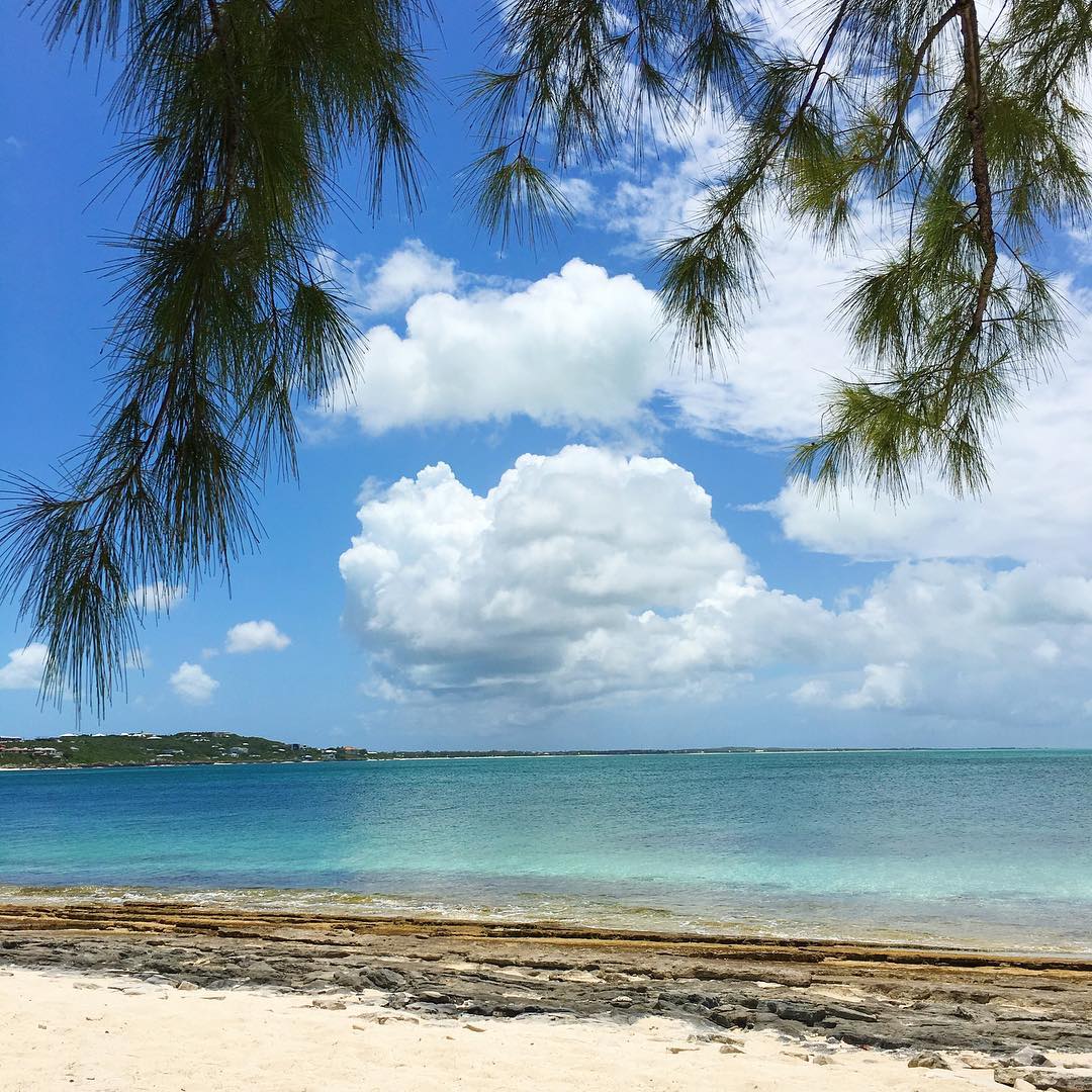 cheapcaribbean's tweet photo. Not a shabby view. #SmithsReef #Turks https://t.co/jIdq9SueRU