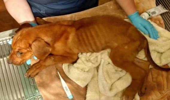 Oh my gosh have you heard the story of poor Caleb? themonstersamongus.com/2016/08/14/3-m… #JusticeForCaleb