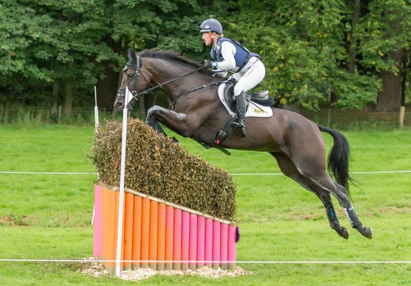 NWEventing's tweet photo. Jo &amp; James Lambert's Bulana also had a fantastic @BCIHT to finish 5th in the @EventRiderMstrs #girlpower@blair https://t.co/ckHZ6TBXJM