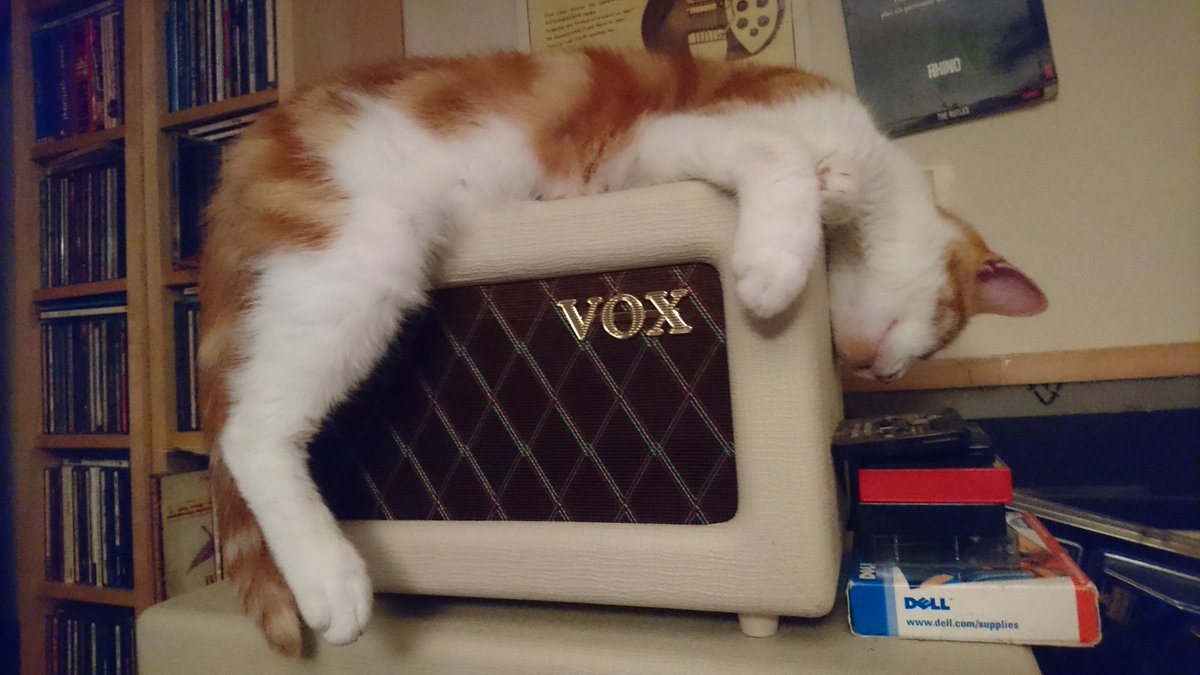 bluepepperaudio's tweet photo. @VoxampsUK @VOXamps every AC4H needs one https://t.co/3kjrtqgzLd