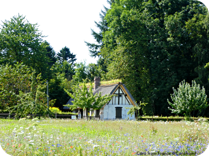 CarofromF's tweet photo. #Normandy #Eure paysage champêtre #MagnifiqueFrance https://t.co/fWPDyowLXW