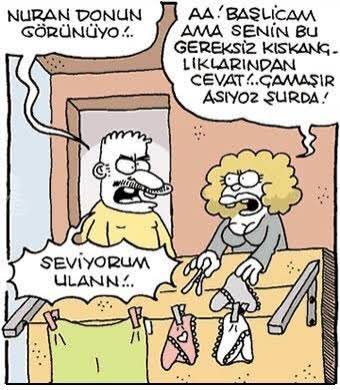 Resim