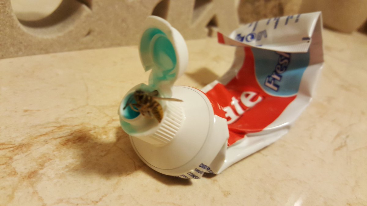 lippy280569's tweet photo. Death by toothpaste........ https://t.co/K37rsV61O4