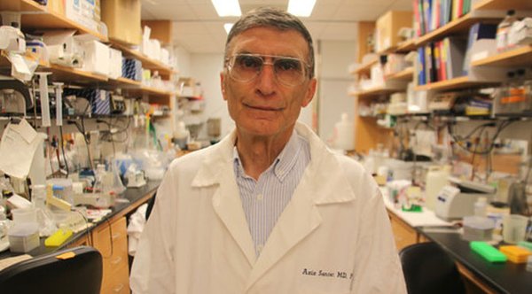 Çoğu insan zekaya inanır, ben inanmıyorum, bizi birbirimizden ayıran emektir, ben çalışmaya inanıyorum.

Aziz Sancar