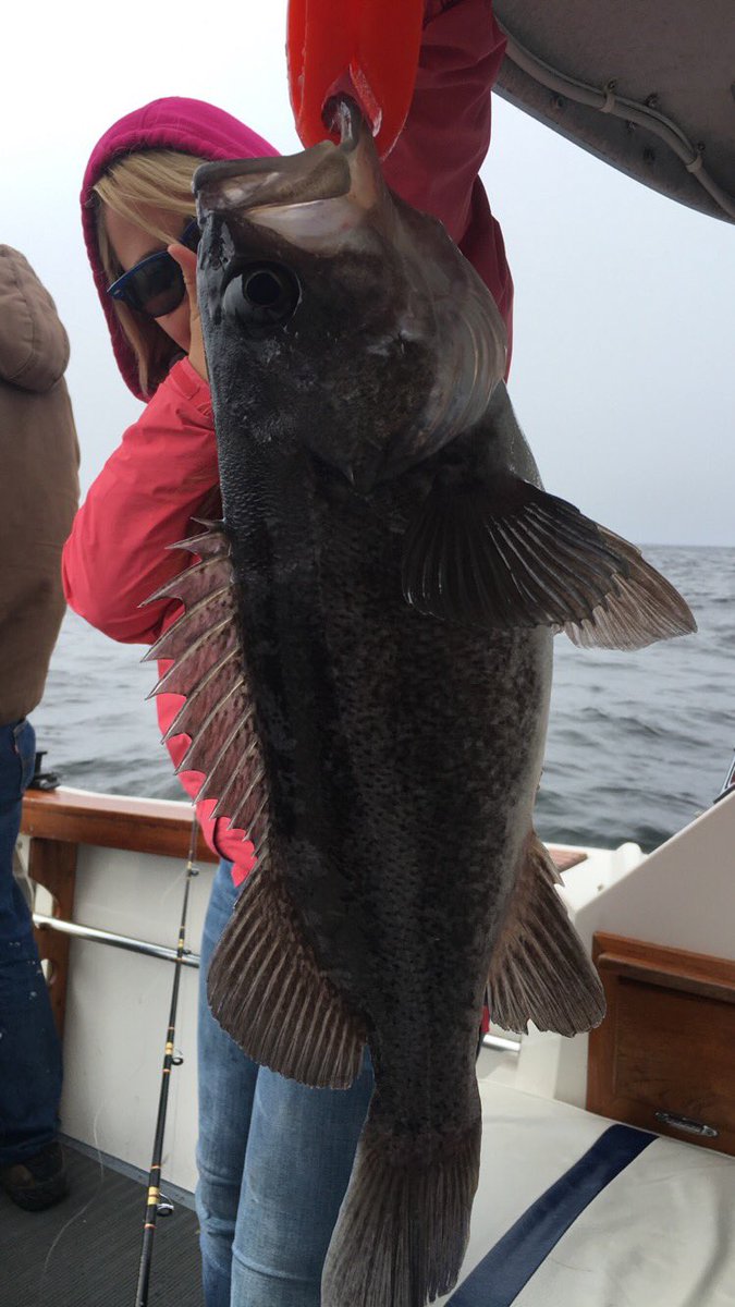 JimmerRG's tweet photo. It's all about the angles. #samefish https://t.co/Mmat8yvxvc