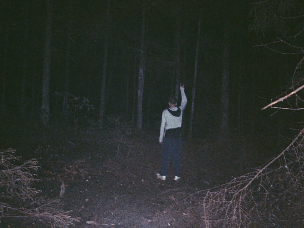 serdukovmusic's tweet image. "По грибы да по ягоды" #nightversion