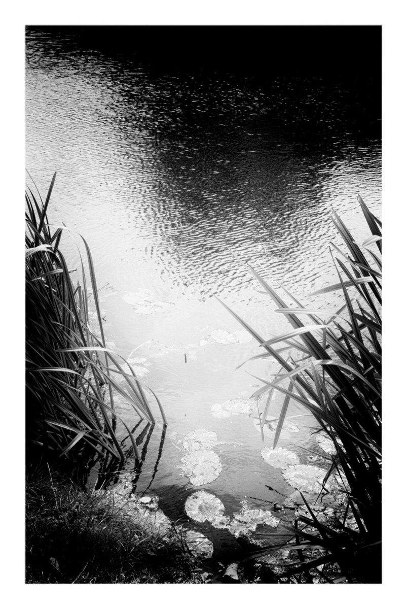 alongtheline1's tweet photo. Water is my Life https://t.co/50Jn7AqBMK https://t.co/p6EtUvOSXC