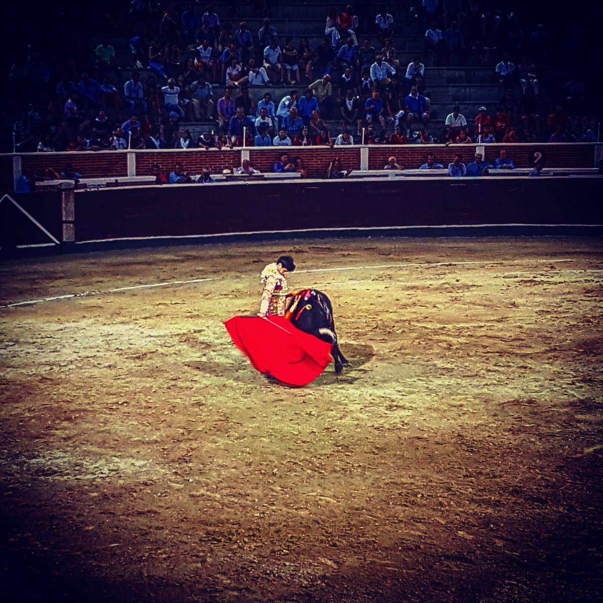 FranGam's tweet photo. Gran tarde de toros de @PrensALSimon @alopezsimon en Sanse con su encerrona #sanse16 #fiestassanse16 #SiALosToros https://t.co/bbm04x6GCD