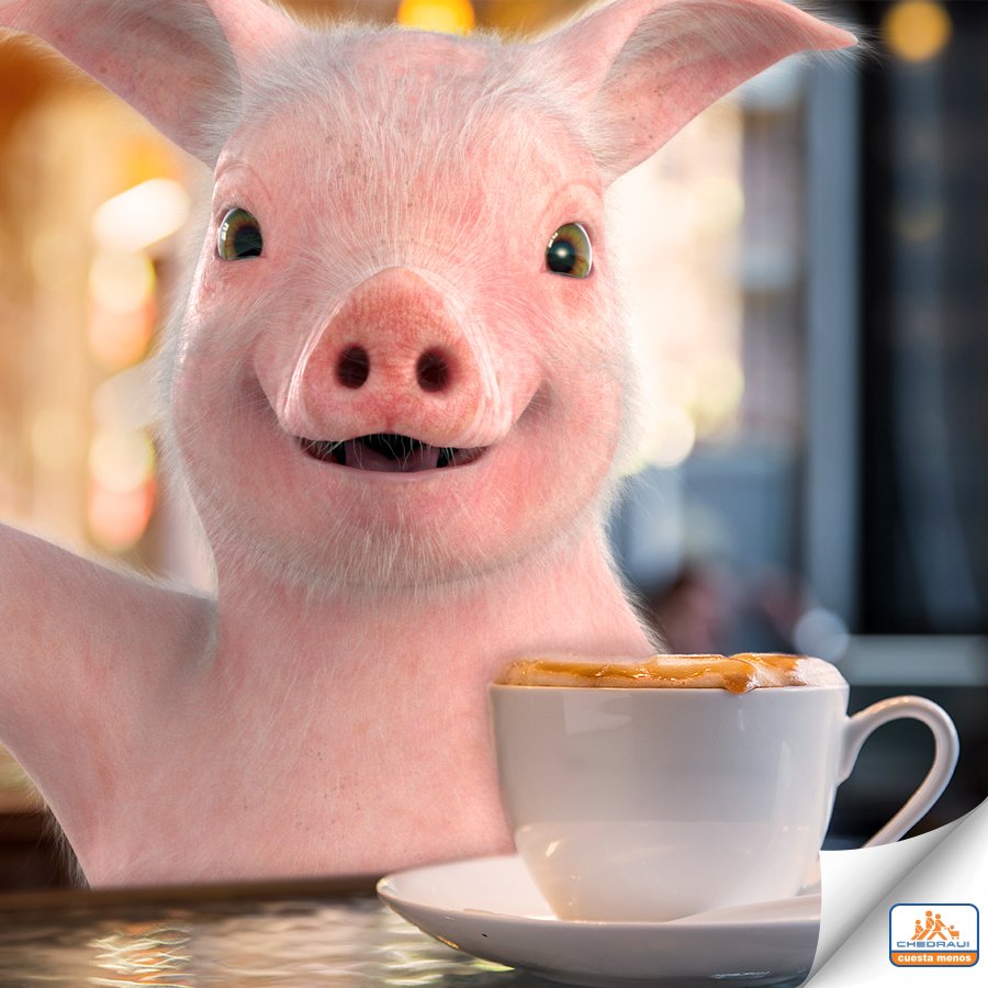 Si no sabes qué hacer un #miércoles Chonchito te propone tomar un #café con tus #amigos