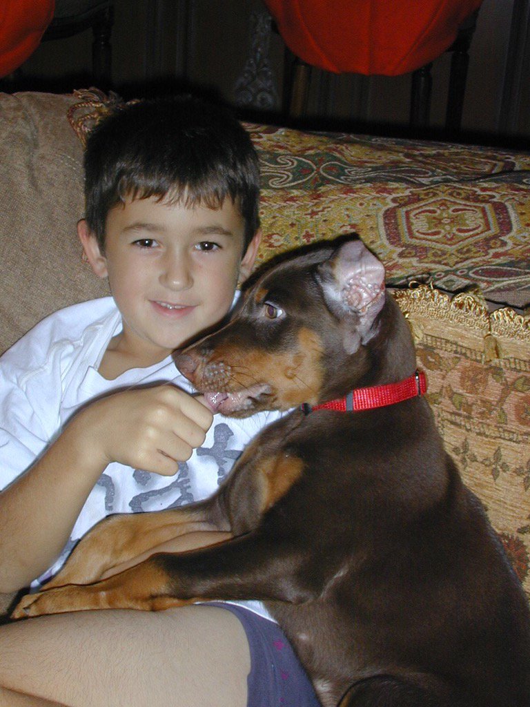 Chase Elliott on X: "Happy National Dog Day Skamp! Couldn't ask for a better pup, hang in there buddy. https://t.co/vyfVCBNGdq" / X