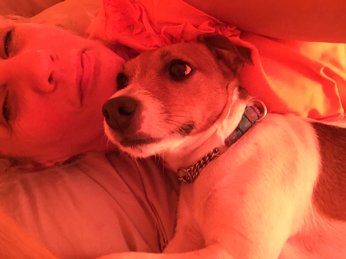 pennyjrt's tweet photo. https://t.co/YOdUbh2awV