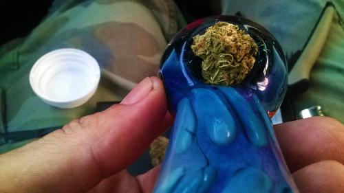 c21h30o2i's tweet photo. #hellafaded #nugz #kushgrowers #stillblazin We wanna uplift you to the clouds #kush https://t.co/weOmArx5Ed