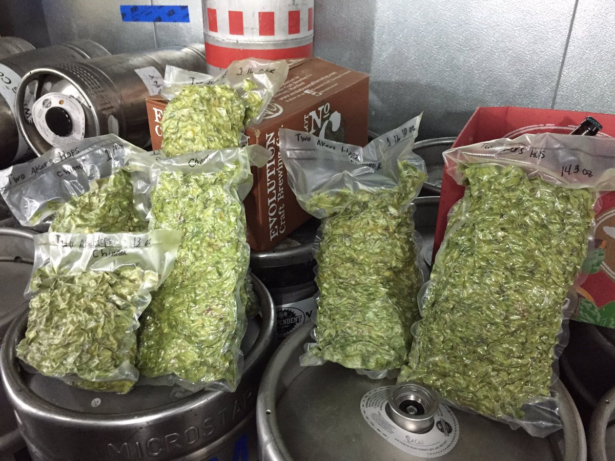 TwoAkersHops's tweet photo. Fresh Two Akers chinook ready to dry hop the Two Akers IPA! https://t.co/9AoCW2zEzl