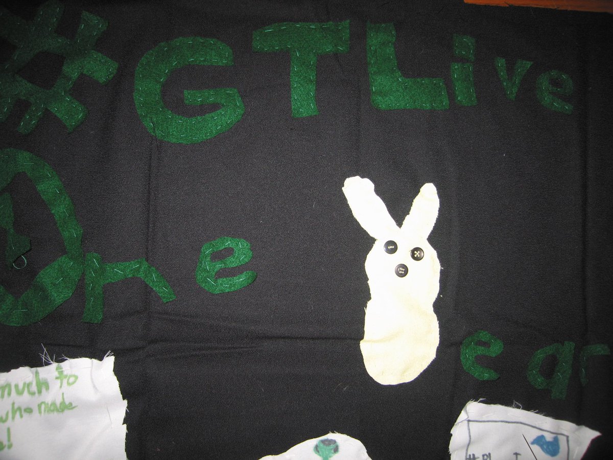 HockeyGamer313's tweet photo. @MatPatGT @CordyPatrick #GTLive Do you like the pillow I made you! I spend 10 hours today working on! #GTLiveOneYear https://t.co/QO24nrNdfB
