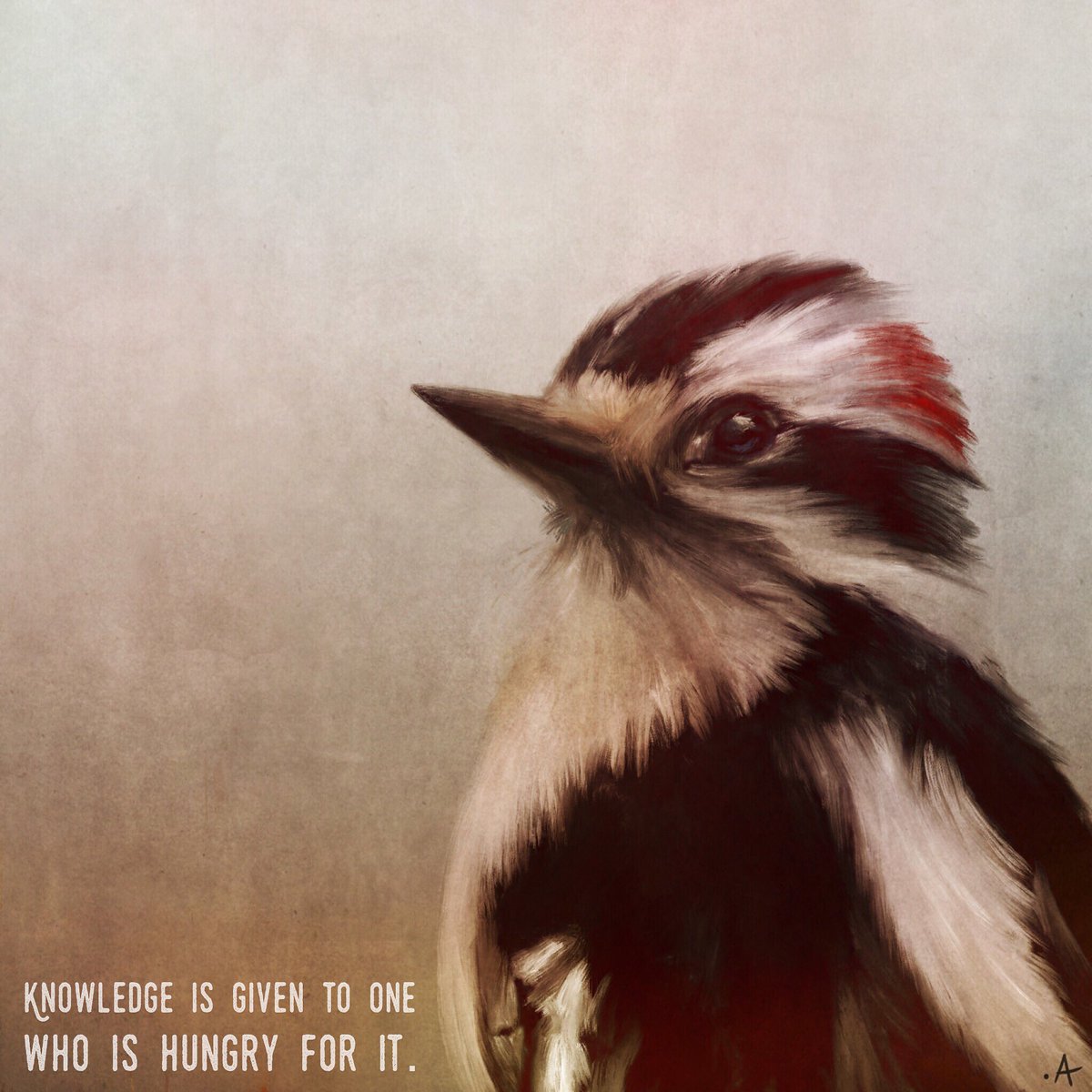 aaronlemay's tweet photo. #BirdNotes: Knowledge is given to One who is Hungry for it. https://t.co/JNVzBgxsrb