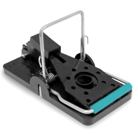 Need mousetraps that work? amazon.com/dp/B01FROLO12 #KatSense