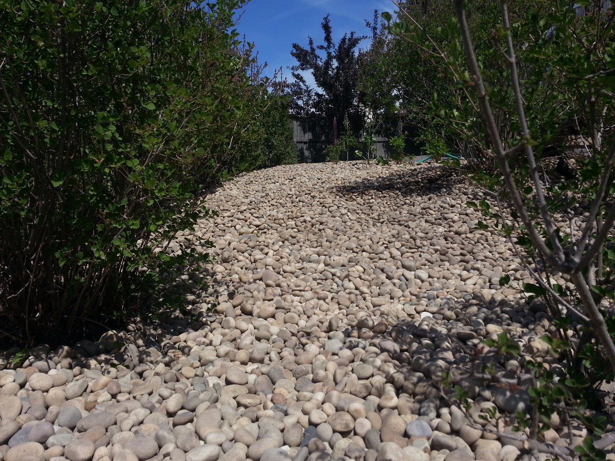 UrbanEdges's tweet photo. Tired of always watering &amp; cutting grass? Replace it with rock &amp; have less summer property maintenance! #yeg #shpk https://t.co/KoGI3TNMXJ