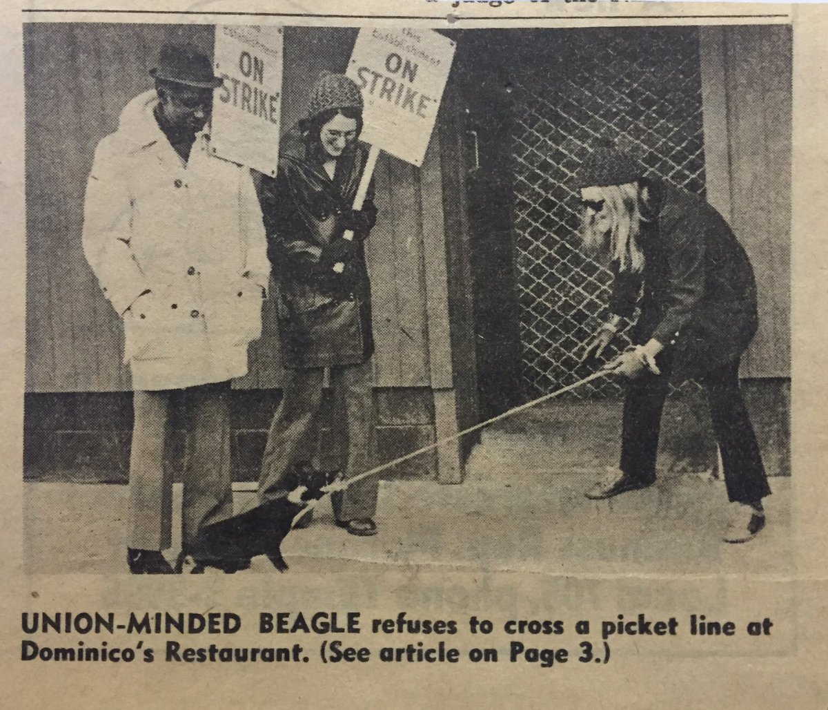 SEIUArchivist's tweet photo. #NationalDogDay: This news clipping hangs in my cubicle at @ReutherLibrary. @unitehere Local 24 protest in #Detroit https://t.co/xwRoDN2DjD