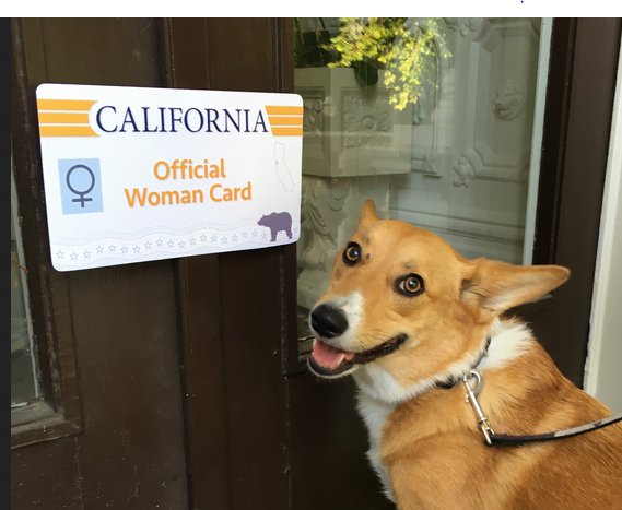 Colusa Brown (@colusabrown) on Twitter photo Forget #NationalDogDay (& <a href="/SutterBrown/">Sutter Brown</a>), I'm with the ladies on this one! #WomensEqualityDay #WinLikeAGirl Forget #NationalDogDay (& <a href="/SutterBrown/">Sutter Brown</a>), I'm with the ladies on this one! #WomensEqualityDay #WinLikeAGirl