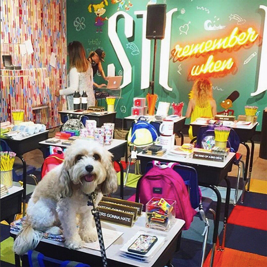 ThisIsStory's tweet image. Happy #NationalDogDay! We&apos;re celebrating with all of our furry friends at #RememberWhenSTORY!