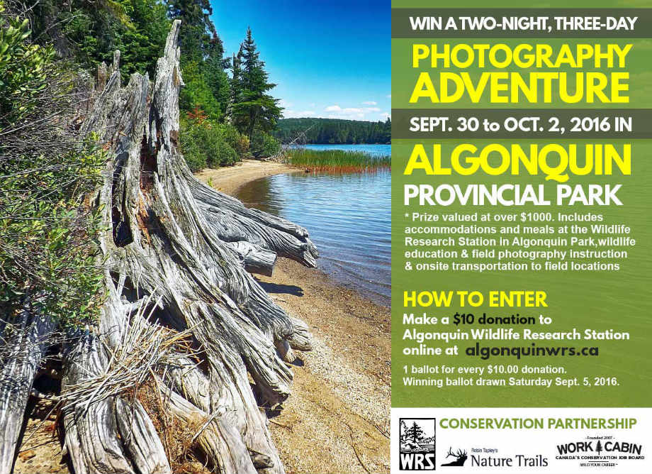 It's a win-win: your support and the opp to tour #AlgonquinPark w/ <a href="/WorkCabin/">Gregg McLachlan</a>+<a href="/RobinTapley/">Robin Tapley</a>! workcabin.ca/win-a-two-nigh…