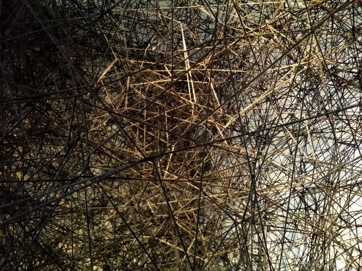 post_artist's tweet photo. Chiharu Shiota Trace of Memory 2013 https://t.co/iiMCkqh4hg