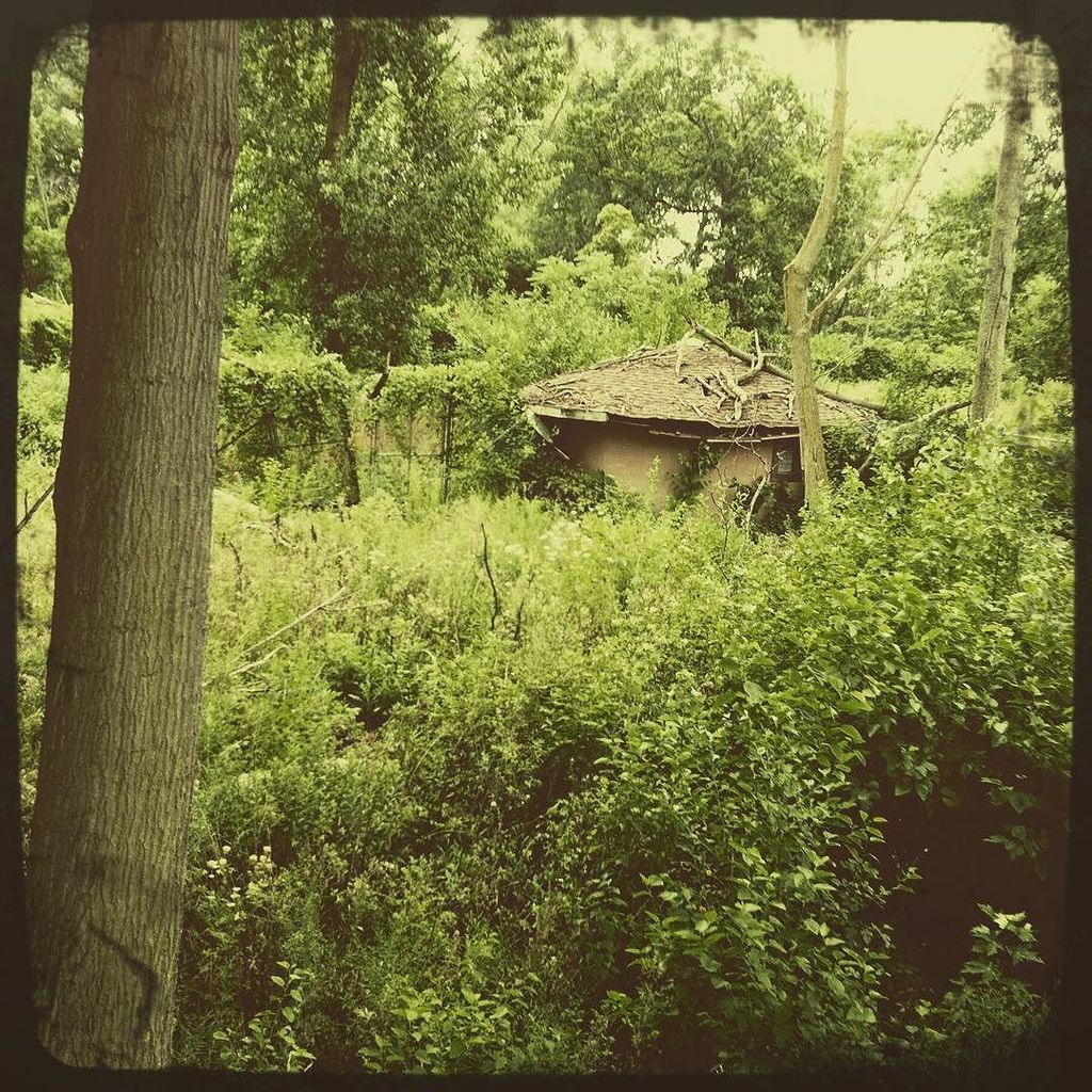 abandogram's tweet photo. goldenankh: #abandoned #abandonedzoo #abandonedpark #abandonedplaces #abandoneddetroit #belleislezoo #belleisle #be… https://t.co/RfR5CTECGl