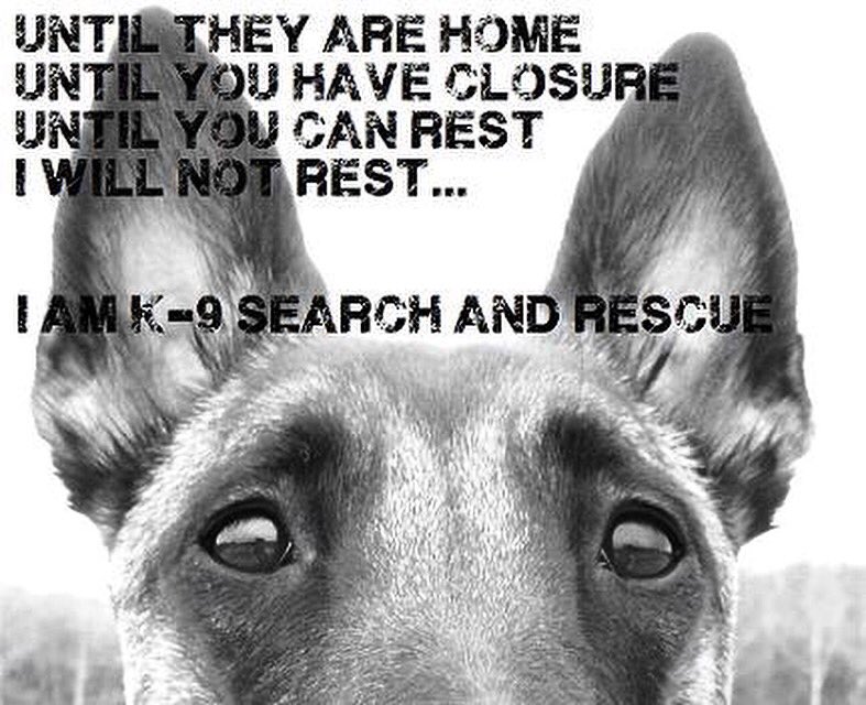 CanixusK9SAR's tweet image. Happy National Dog Day! 
Dogs make our lives better in so many ways! 
#nationaldogday