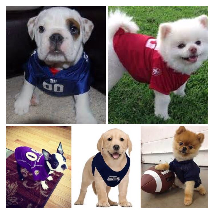 ProFootballShip's tweet image. We couldn't resist...happy #NationalDogDay AND #TGIF! #nfl #pfhof #profootballlegendscruise #puppylove 🐶🏈