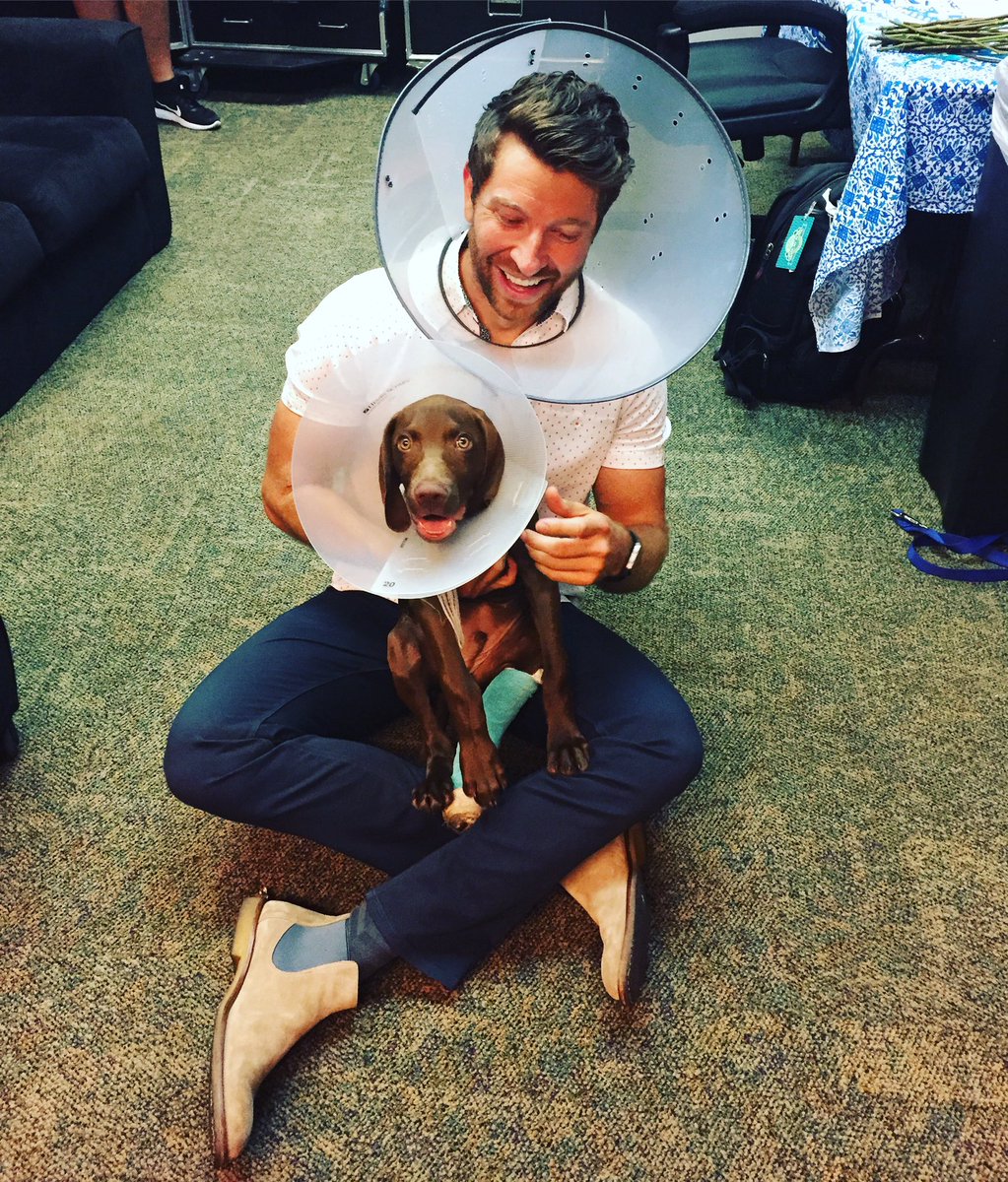 bretteldredge's tweet photo. Didn't want Edgar to feel left out on #NationalDogDay ...so I joined him and put on the cone of shame https://t.co/89wgS6u9Zk