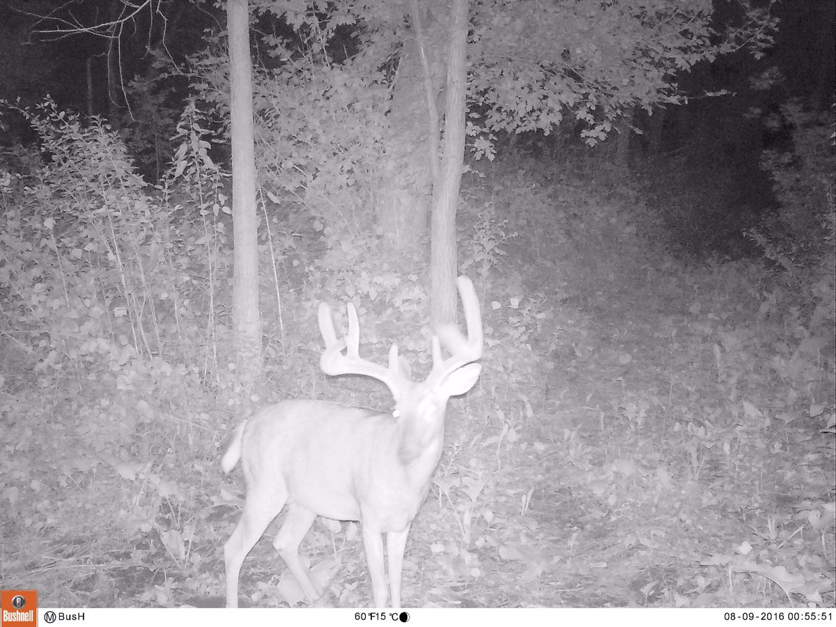 Heartland Pursuit™ tweet media