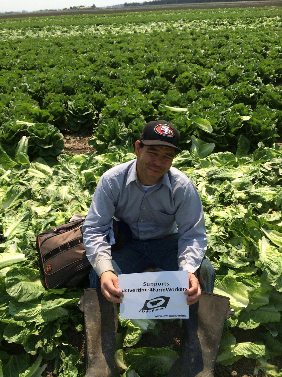 UFWupdates's tweet image. Soledad lettuce wkrs ask that you vote for #Overtime4FarmWorkers. Yes on #Ab1066. @AsmLuisAlejo  #TheyFeedUs