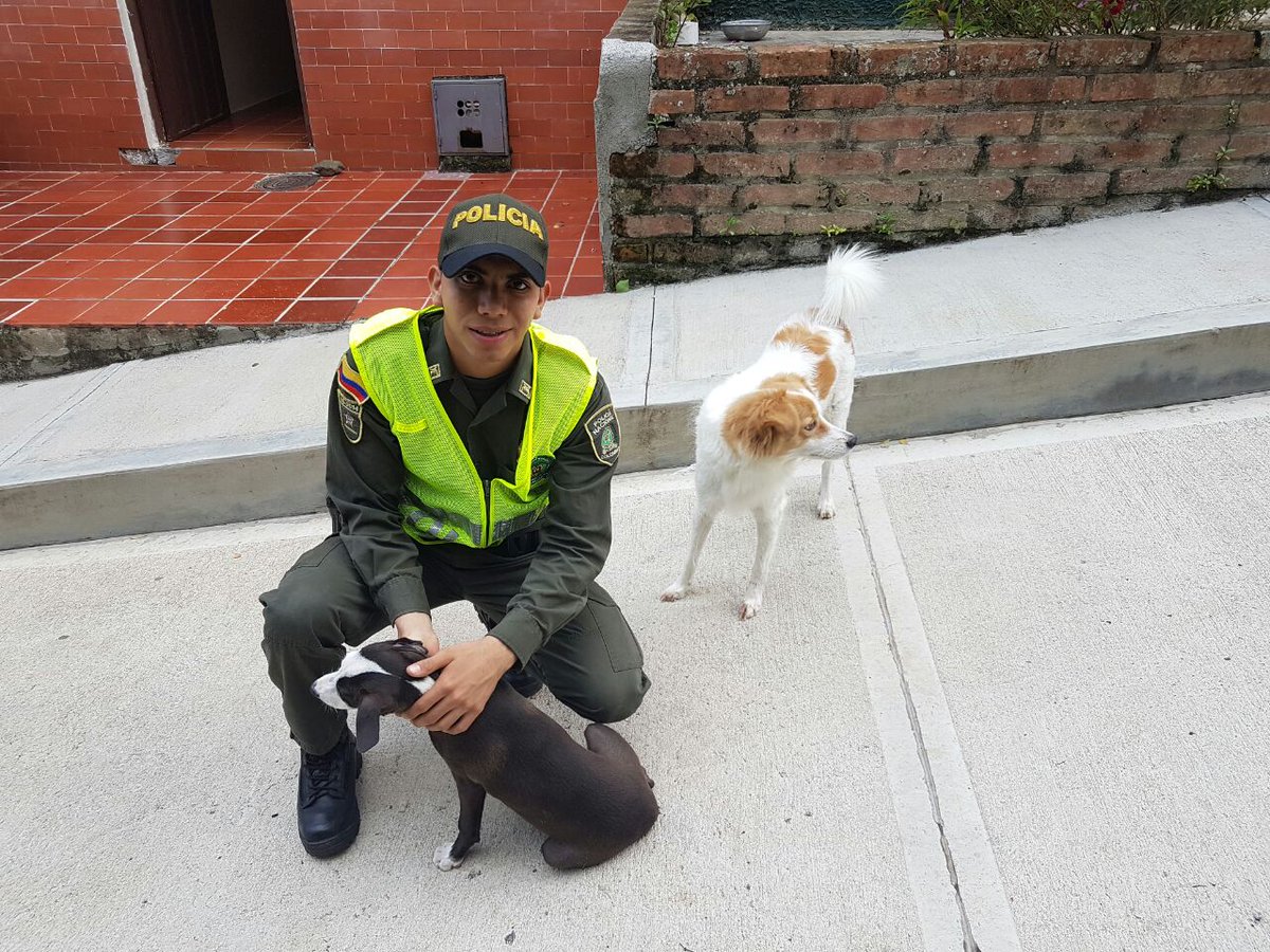 PoliciaStander's tweet image. Podemos juzgar el corazón de una persona por la forma en que trata a los animales. Immanuel Kant #DiaMundialDelPerro