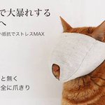 桃鉄が任天堂から復活に喜ぶ人々→なぜKONAMIではなく任天堂な